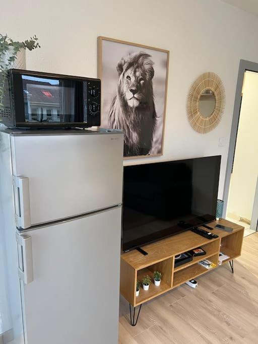 Adorable Appartement Strasbourg Neudorf Parking Sous Sol Exterior foto